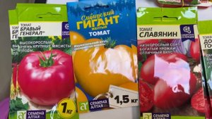 ОБЗОР ТОМАТОВ НА 2024. Часть1 СЕМЕНА АЛТАЯ. СИБИРСКИЙ САД