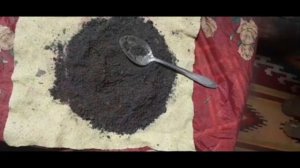 Лесная земля. В поисках плодородия. "Серёжкин огород".