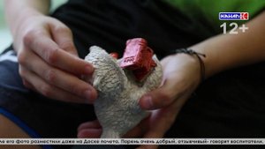 Три брата: Максим, Артём и Александр мечтают о тепле домашнего очага и семейном уюте