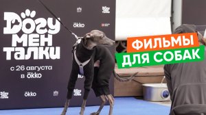 Как прошел премьерный показ "Догументалок"