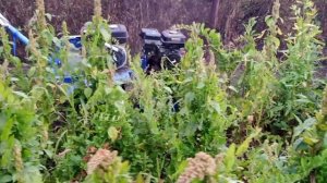 Пахарь М-60. Ботва картошки