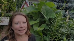 КАК  И ЗАЧЕМ ОБРЕЗАТЬ ЛИЛИИ ПОСЛЕ ЦВЕТЕНИЯ