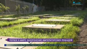 В Царском Селе завершили реставрацию захоронения императорских лошадей