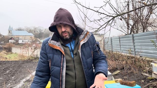 Пчелы, которые не могут перезимовать зимой на пасеке, ? смотреть онлайн