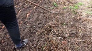 Копать или не копать землю осенью. Перекопка почвы - пл