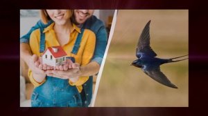 Что значит если ласточка свила гнездо рядом с домом: н?
