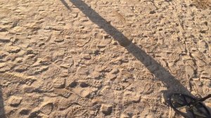 Кладоискатель в Геленджике на пляже