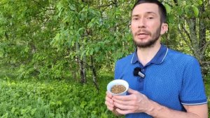 Лучшие травы, понижающие давление. Лекарственные раст