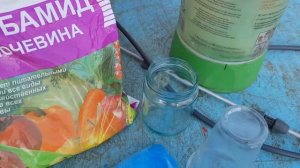 Обработка сада осенью от болезней