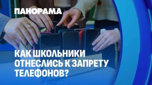 Запрет на телефоны в школе. Как к нововведению отнеслись ученики, их родители и учителя? Панорама