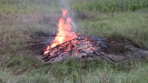 Утилизация кустарника #из_города_в_деревенскуб_глубинку