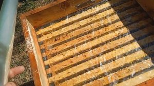 Какая  пленка лутше для ульев