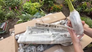 Большая распаковка Хост