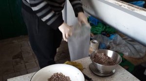 Как я делаю грибные блоки Вешенка