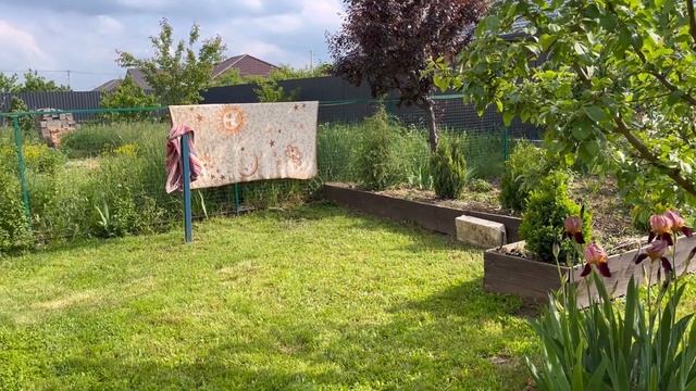 Жизнь в южном доме: яблоки завязались, персики болеют, смотреть онлайн