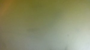 Садовый пруд на участке, даче своими руками для развед