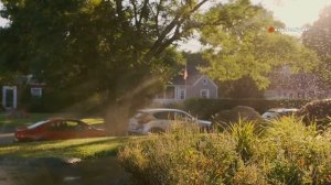 Как легко вырастить газон дома: Простые советы 🌿