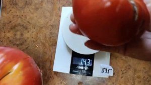 Томат Брендивайн розовый