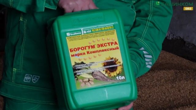 Обработка семян пшеницы  биопрепаратами  по органичес смотреть онлайн