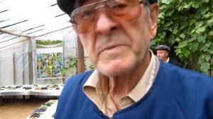 День виноградаря часть 6