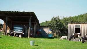 МОЛОДАЯ СЕМЬЯ НЕ УЕХАЛА В ГОРОД, А ОСТАЛАСЬ В ДЕРЕВНЕ |