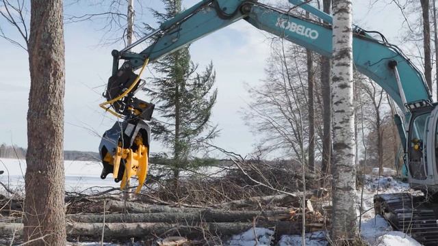 Валочная головка TMK 400 в работе. Валка деревьев большог