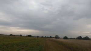 От ж/д путей до старой барнаульской трассы.😊