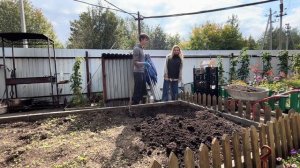 Готовлю почву к посадке клубники. Лучший способ