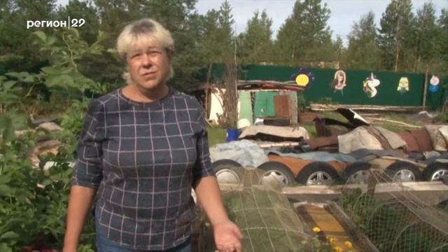 27 06 2018 Дачник удачник в гостях у Михаила Петухова и Ири