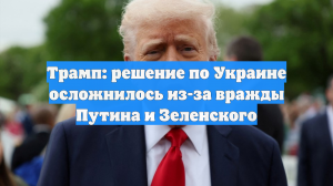 Трамп: решение по Украине осложнилось из-за вражды Путина и Зеленского