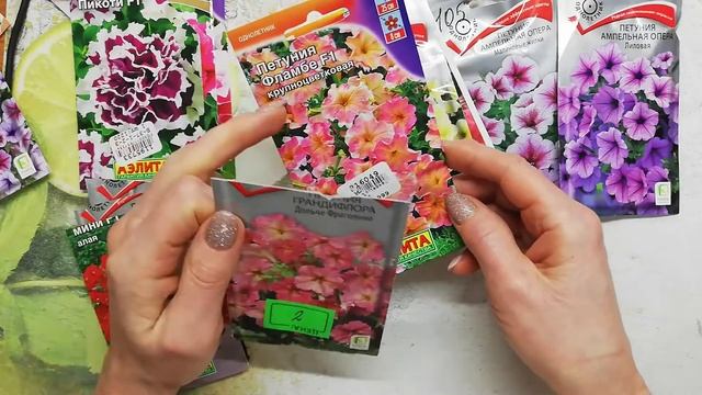 ПЕТУНИЯ. Обзор смотреть онлайн