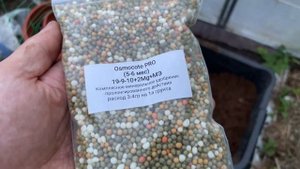 Перевалка Гортензий - какой грунт, горшок, удобрения [М