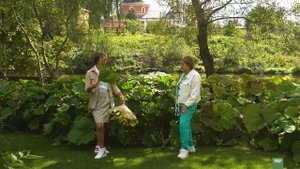 Сад семейная обитель дизайнера Елены Константиновой