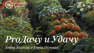 ProДачу и Удачу
