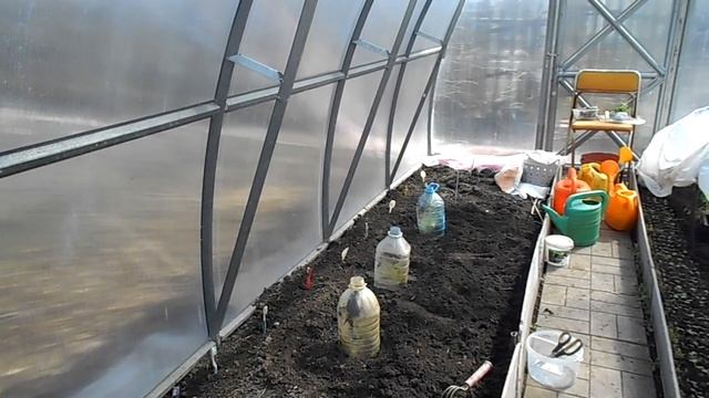 ПОСАДКА РАННИХ ОГУРЦОВ смотреть онлайн