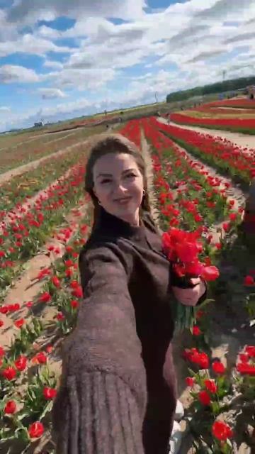 Калининград изнутри. Видеограф: Дарья Суленко