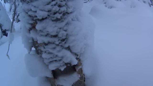 Две недели на промысле в тайге. Глухозимье 2023. Часть 1 смотреть онлайн