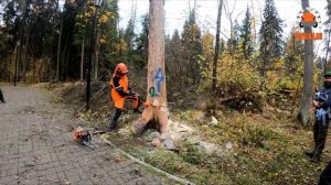 Мастер класс от Александра Гончарова, компания Husqvarna н