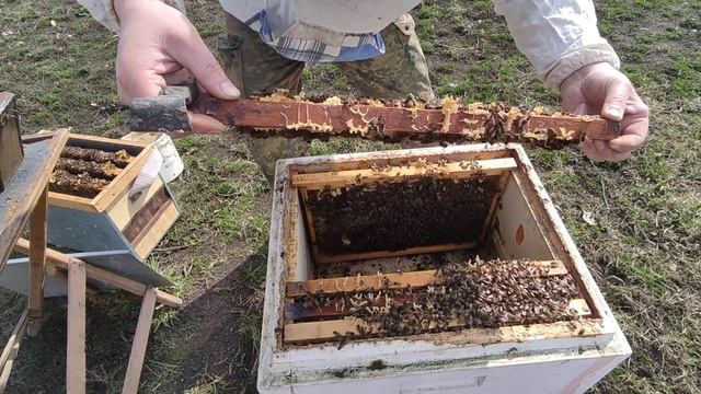 Первый весенний осмотр в 2023! смотреть онлайн