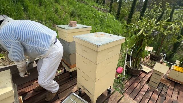 Австралийский улей, установка и разбор деталей-flow hive de смотреть онлайн