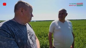 НЮАНСЫ ПРИМЕНЕНИЯ ТЕХНОЛОГИИ ЭФФЕКТИВНЫЙ КЛЮЧ К ФОТОСИНТЕЗУ ПРИ ВЫРАЗИВАНИИ ЛЮЦЕРНЫ