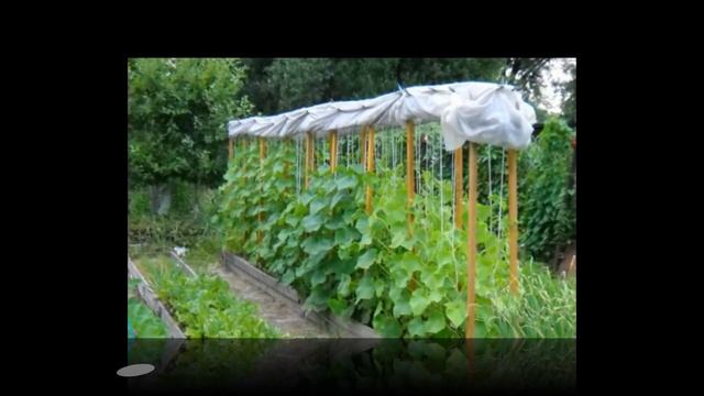 Дачные хитрости и премудрости ! 3 смотреть онлайн