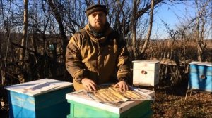 Прополисный холстик/положок. Применение в народной ме