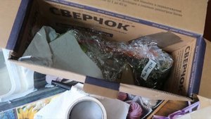 Как отсылать растения почтой/ Как упаковать хойи на ср