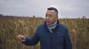 Амарант. Сорт Гигант. Волгоград