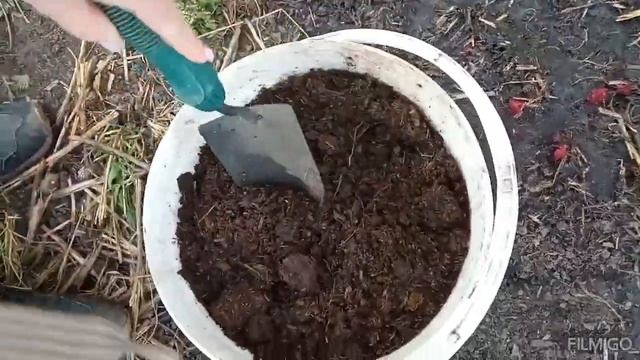 💮 ПЕРВАЯ ВЕСЕННЯЯ ПОДКОРМКА ПИОНОВ 💮 #пионы #подкорм смотреть онлайн