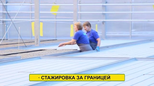 Экоферма - Кушкульские теплицы