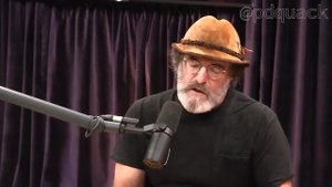 Джо Роган - Пол Стеметс о пользе грибов