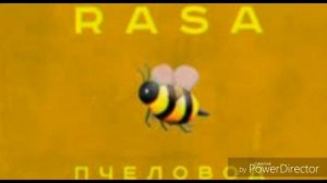 Клип группы RASA. Ты пчела-я пчеловод.