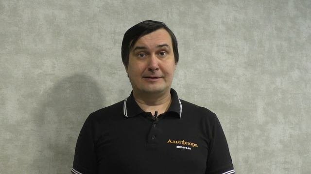 Маврик - самое безопасное для пчёл средство от клещей,